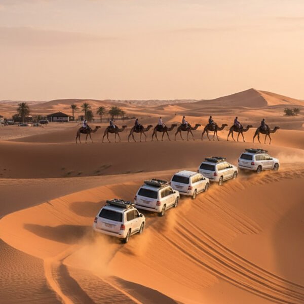 Moring Desert Safari with Camel Ride