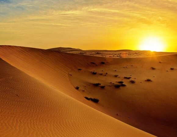 Evening Desert Safari