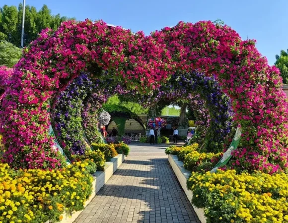 Miracle Garden Dubai