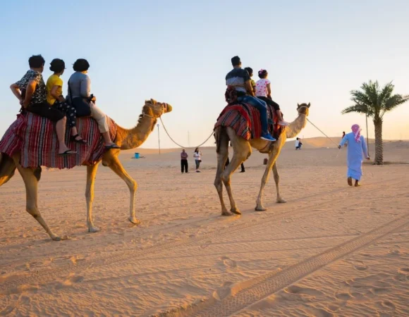 Camel Safari in Dubai