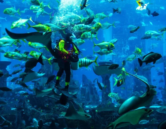 Scuba Diving Dubai
